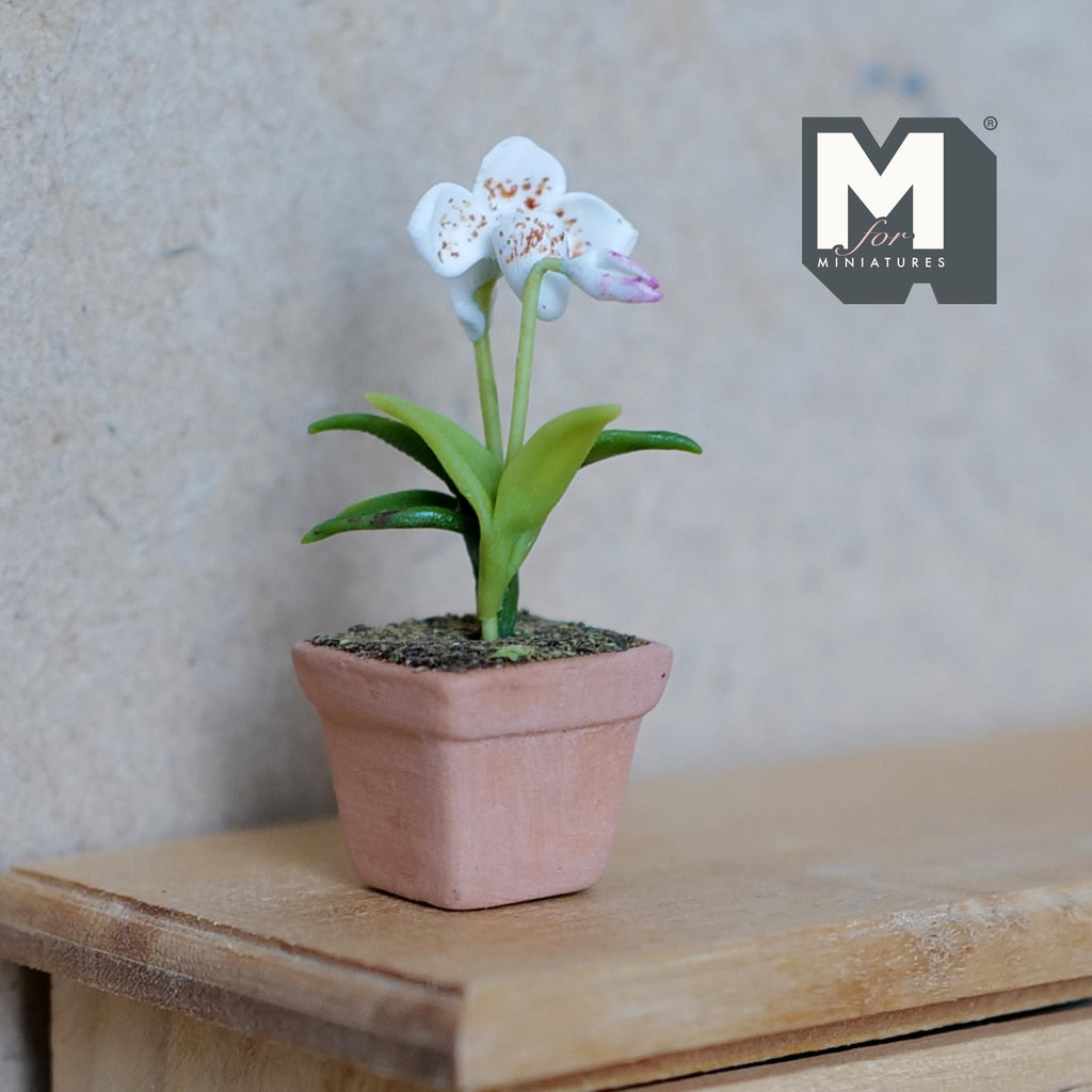 1:12 Scale Miniature Clay Slipper Orchid , Miniature Potted Flowers , Dollhouse Fairy Garden Potted Flowers 1-5/8 inch tall (white) - H033