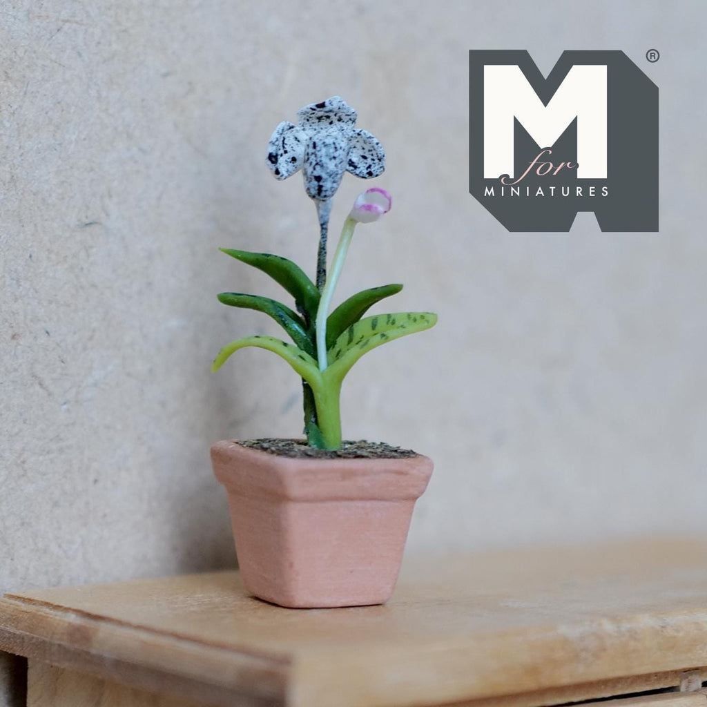 1:12 Scale Miniature Clay Planter White Slipper Orchid Miniature Potted Flowers , Dollhouse Miniature Potted Flowers 1-3/4 inch tall - H033