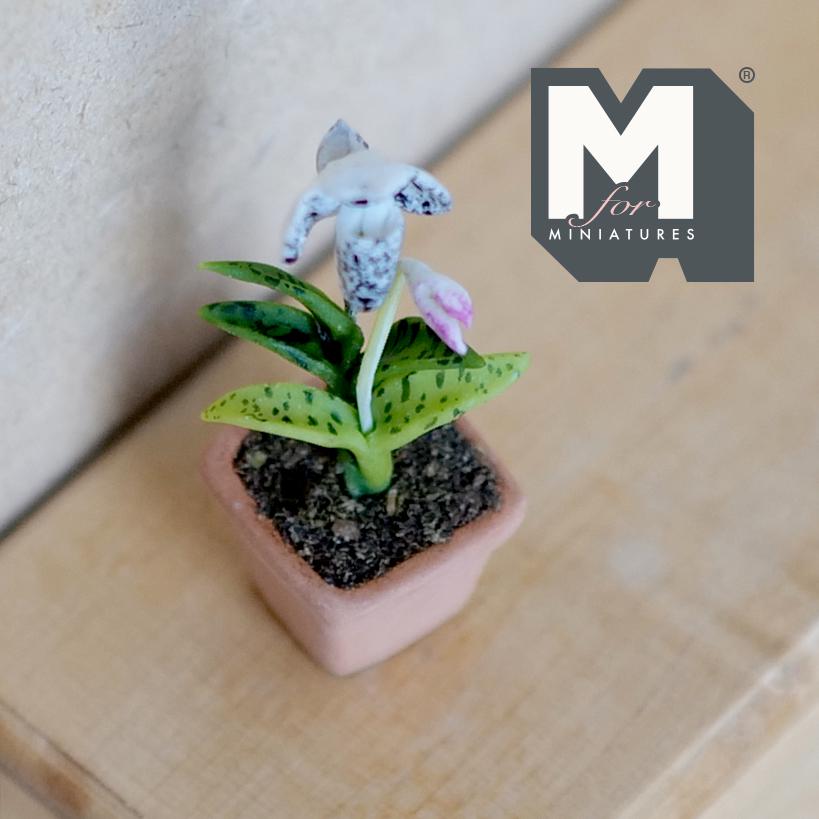 1:12 Scale Miniature Clay Planter White Slipper Orchid Miniature Potted Flowers , Dollhouse Miniature Potted Flowers 1-3/4 inch tall - H033