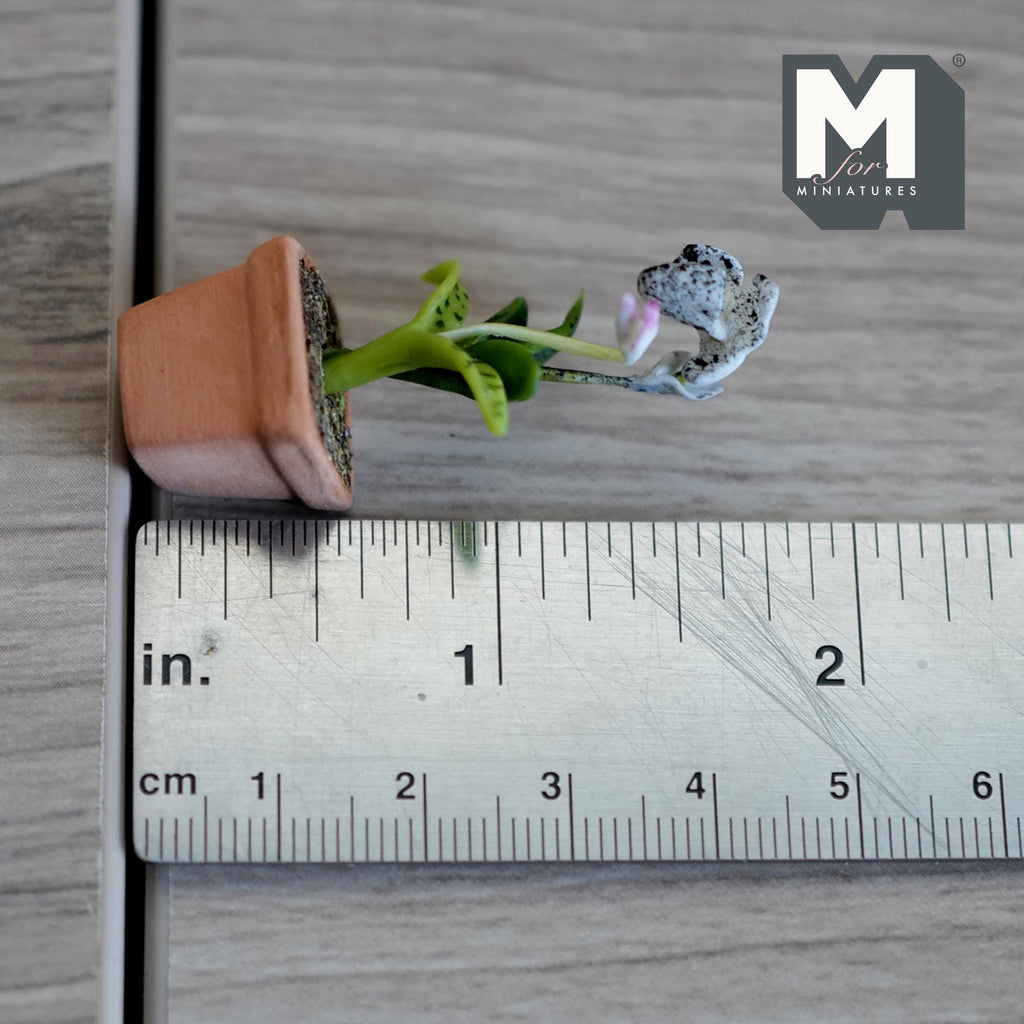 1:12 Scale Miniature Clay Planter White Slipper Orchid Miniature Potted Flowers , Dollhouse Miniature Potted Flowers 1-3/4 inch tall - H033