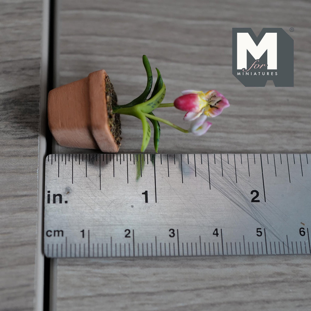 1:12 Scale Miniature Clay Orchild , Miniature Potted Flowers , Dollhouse Potted Flowers , Miniature Flowers 1-5/8 inch tall (pink) - H033