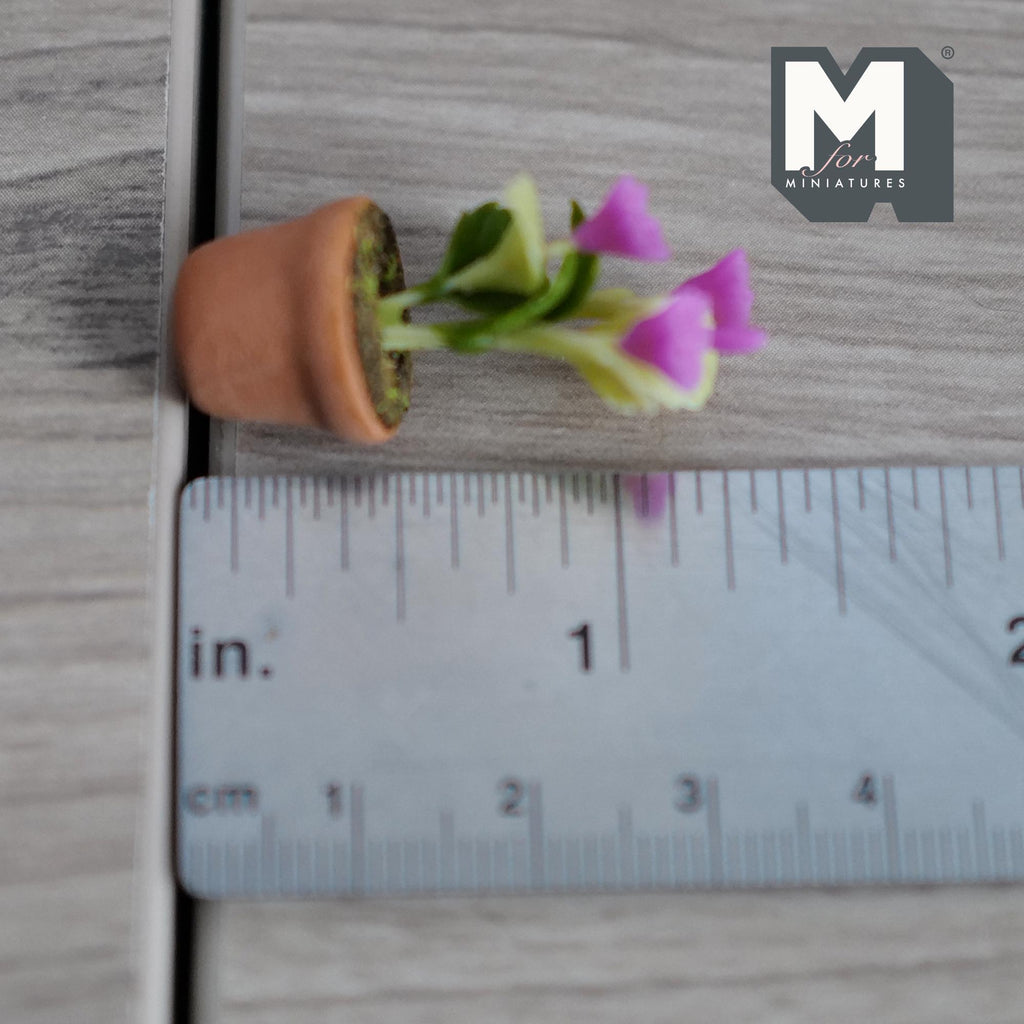 Miniature Clay Planter Pot Pink Primula Primrose 1:12 Scale Dollhouse Fairy Garden Potted Flowers 1-7/16 inch tall - H032