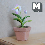 1:12 scale miniature potted pink slipper orchid in a square clay pot with green leaves, shown on a wood dresser