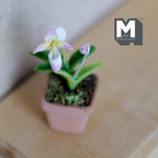 1:12 Scale Miniature Clay Slipper Orchid Miniature Potted Flowers , Dollhouse Miniature Potted Flowers 1-5/8 inch tall (pink) - H033