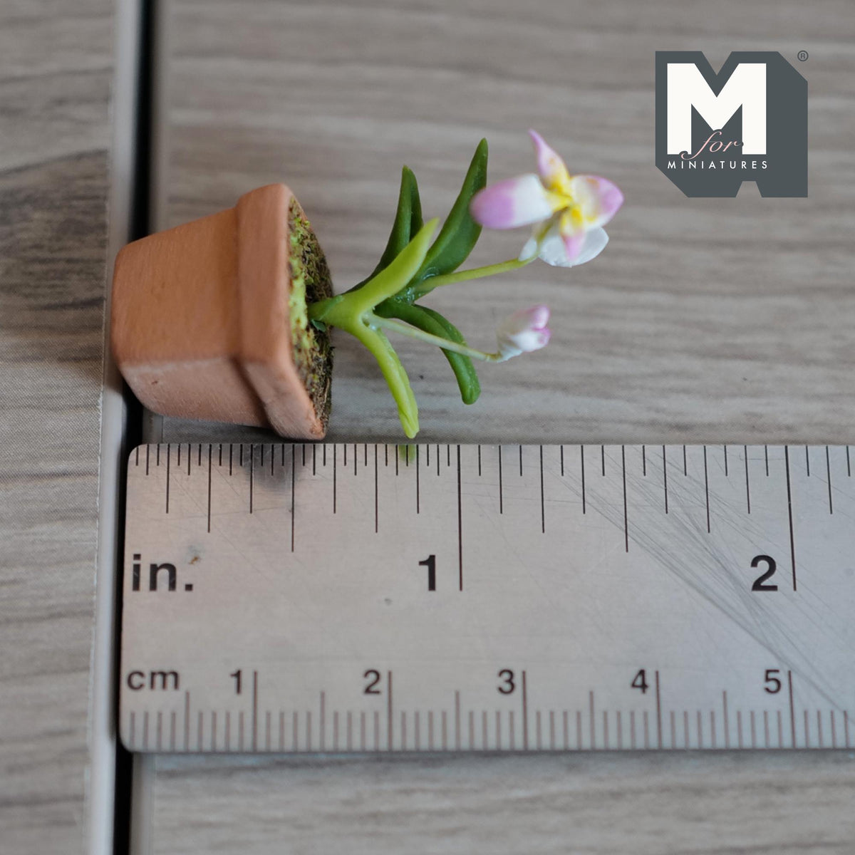 1:12 Scale Miniature Clay Slipper Orchid Miniature Potted Flowers , Dollhouse Miniature Potted Flowers 1-5/8 inch tall (pink) - H033