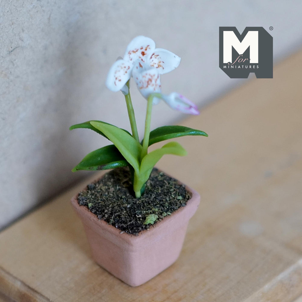 1:12 Scale Miniature Clay Slipper Orchid , Miniature Potted Flowers , Dollhouse Fairy Garden Potted Flowers 1-5/8 inch tall (white) - H033