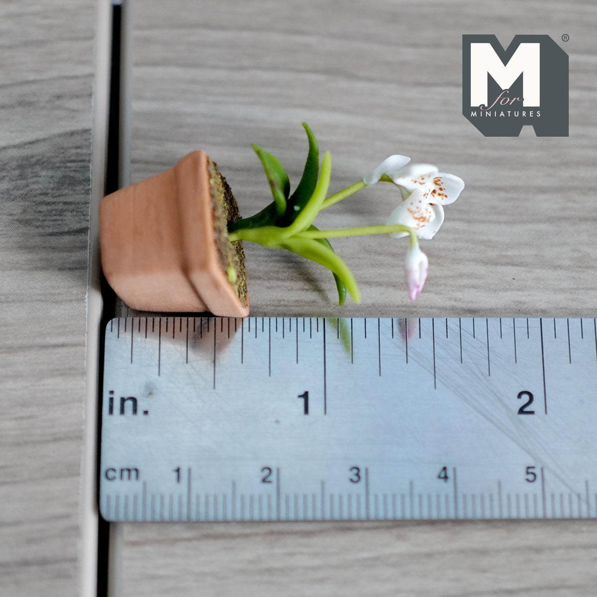 1:12 Scale Miniature Clay Slipper Orchid , Miniature Potted Flowers , Dollhouse Fairy Garden Potted Flowers 1-5/8 inch tall (white) - H033