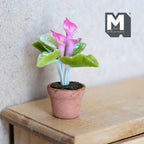1:12 scale miniature potted pink calla lily in a clay pot with broad green leaves, shown on a wood dresser