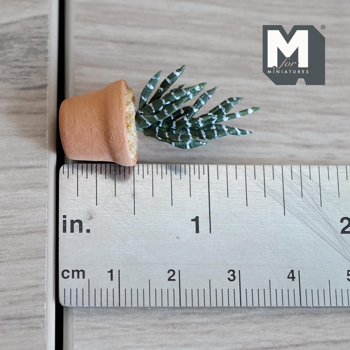 Miniature Clay Planter Zebra Plant 1:12 Scale Miniature Potted Flowers Dollhouse Potted Flowers Miniature Flowers 1-7/16 inch tall - H033