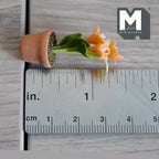 Miniature Clay Planter Orange Stargazer Lily 1:12 Scale Dollhouse Potted Foliage Miniature Flowers 1-7/16 inch tall - H031