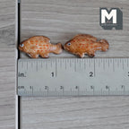 Miniature Fish Set of 2 , 1:12 Scale Miniature Fish 1-3/16 inch long (fake miniature) - E026