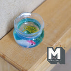 Miniature Round Fish Bowl , Fish and Plants 1:12 Scale Dollhouse Fish Tank Decor 1 inch tall (resin) - C073