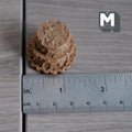 Miniature Unfinished Cake 1:12 Scale Mid Prep Cake Dollhouse Dessert Crumb Coat Cake 15/16 inch tall (brown) (resin) -