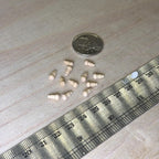 1:12 Scale Miniature Unpainted Turned Wood Knobs, Set of 12, 1/4 inch long, DIY Dollhouse Supply