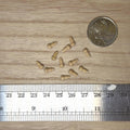 1:12 Scale Miniature Unpainted Turned Wood Knobs, Set of 12, 1/4 inch long, DIY Dollhouse Supply