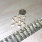 1:12 Scale Miniature Unpainted Turned Wood Beehive Knobs, Set of 12, 1/4 inch tall, DIY Dollhouse Supply