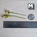 1:12 scale miniature plant stems with layered green leaves topped with soft pink and cream tipped leaves