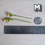 1:12 scale miniature plant stems with layered green leaves topped with soft pink and cream tipped leaves