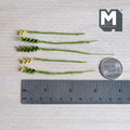 1:12 scale miniature green leaf plant stems with small paired leaves, some with yellow green tips, on green wrapped stems