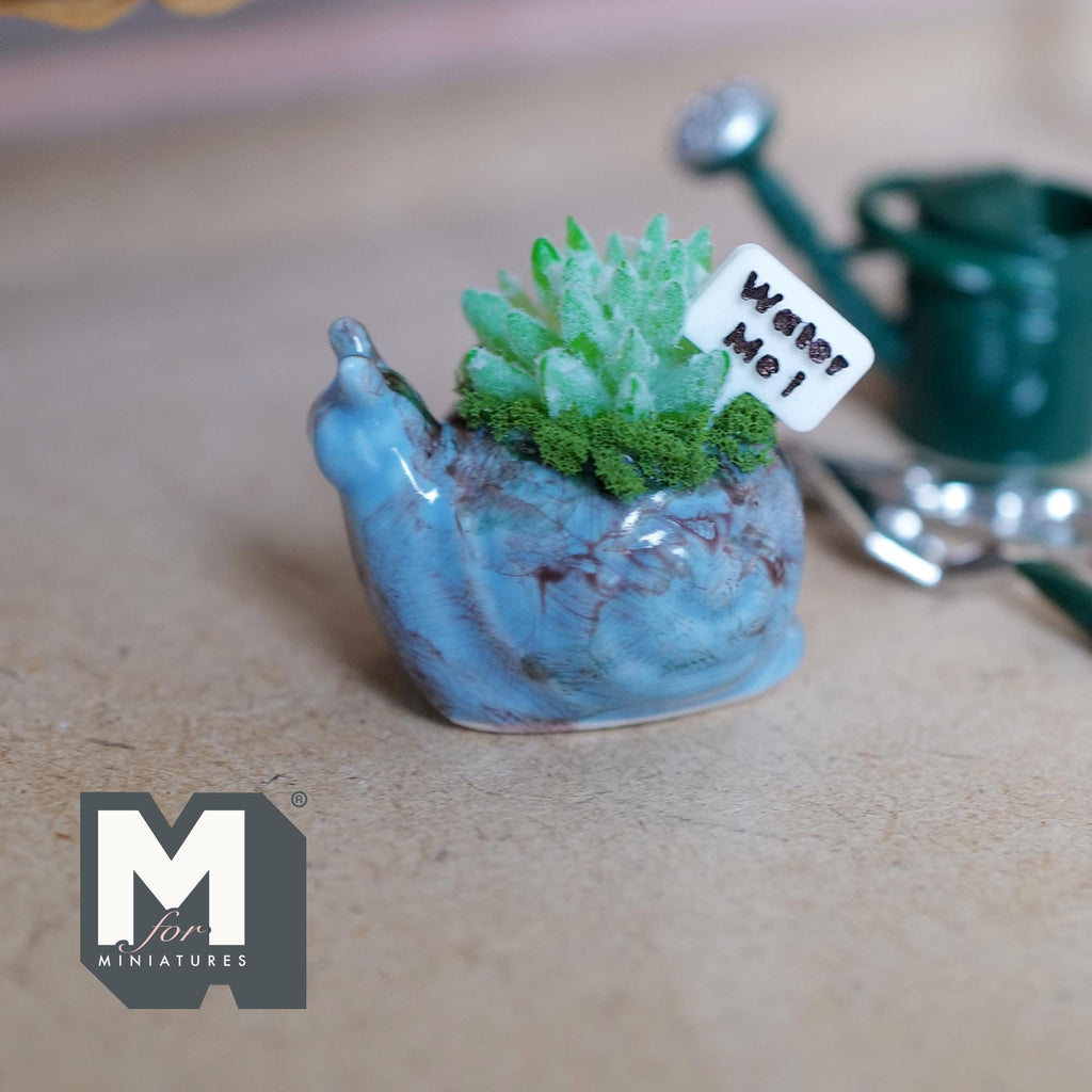 1:12 Scale Miniature Ceramic Snail Planter with Succulent and Water Me Sign, 7/8 inch tall, DIY Dollhouse Supply (blue)