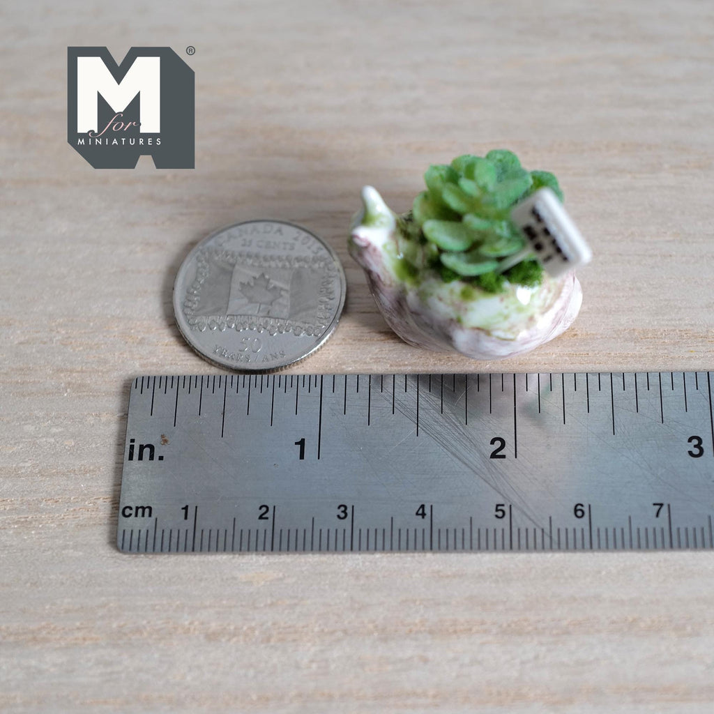 1:12 Scale Miniature Ceramic Snail Planter with Succulent and Water Me Sign, 7/8 inch tall, DIY Dollhouse Supply (white)