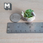 Jardinière escargot en céramique miniature à l'échelle 1/12 avec succulente et panneau « Water Me », 2,2 cm de haut, accessoire pour maison de poupée DIY (blanc)
