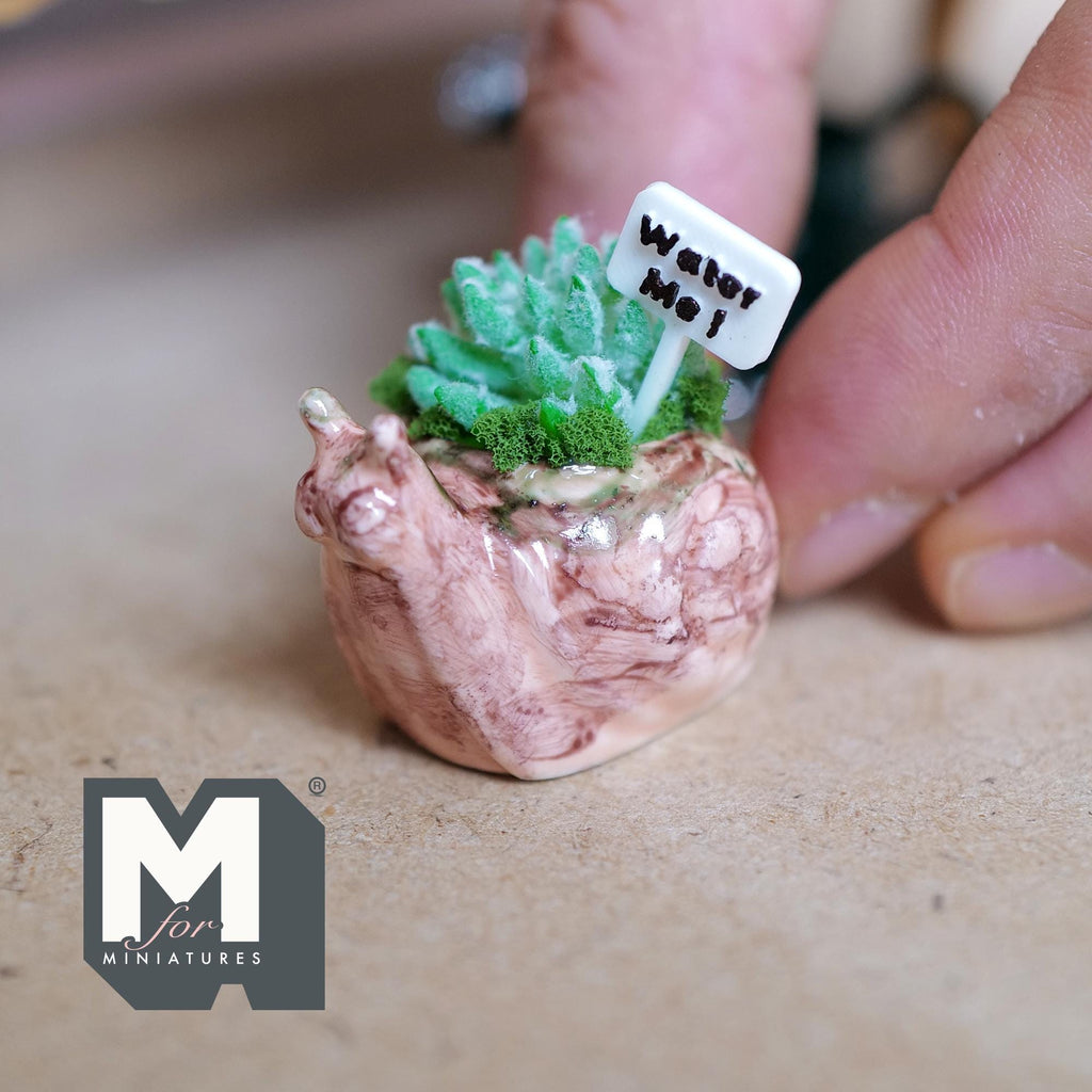 1:12 scale miniature orange ceramic snail planter with a succulent, green moss and a small Water Me sign, with a rustic weathered finish