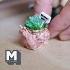 1:12 scale miniature orange ceramic snail planter with a succulent, green moss and a small Water Me sign, with a rustic weathered finish