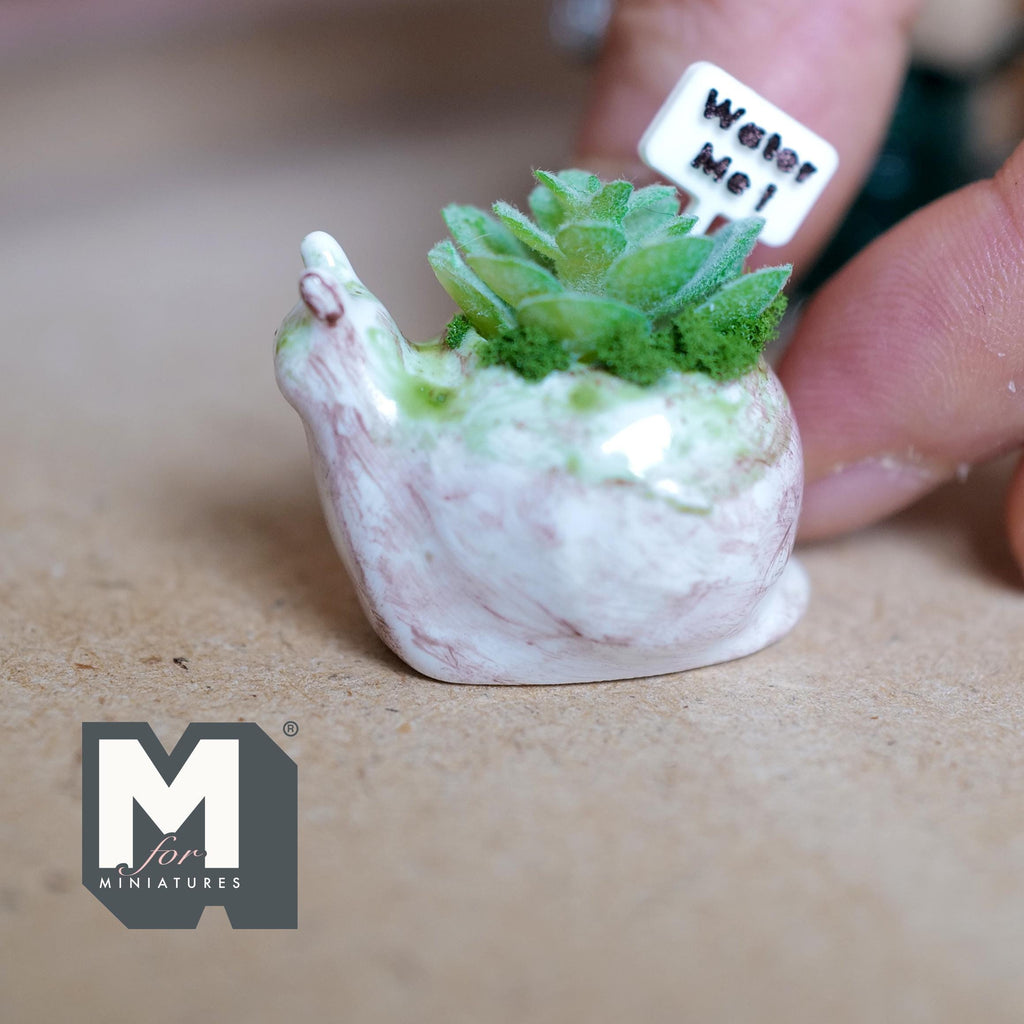 1:12 scale miniature white ceramic snail planter with a succulent, green moss and a small Water Me sign, with a rustic weathered finish