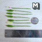 1:12 scale miniature green feathery fern frond stems with one pale cream green frond and a pink bud, on green wrapped stems