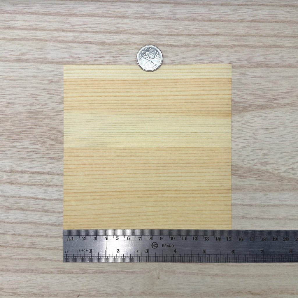 Miniature pine wood veneer sheet with straight pale cream grain and narrow warm tan growth rings, 5-7/8 inch square