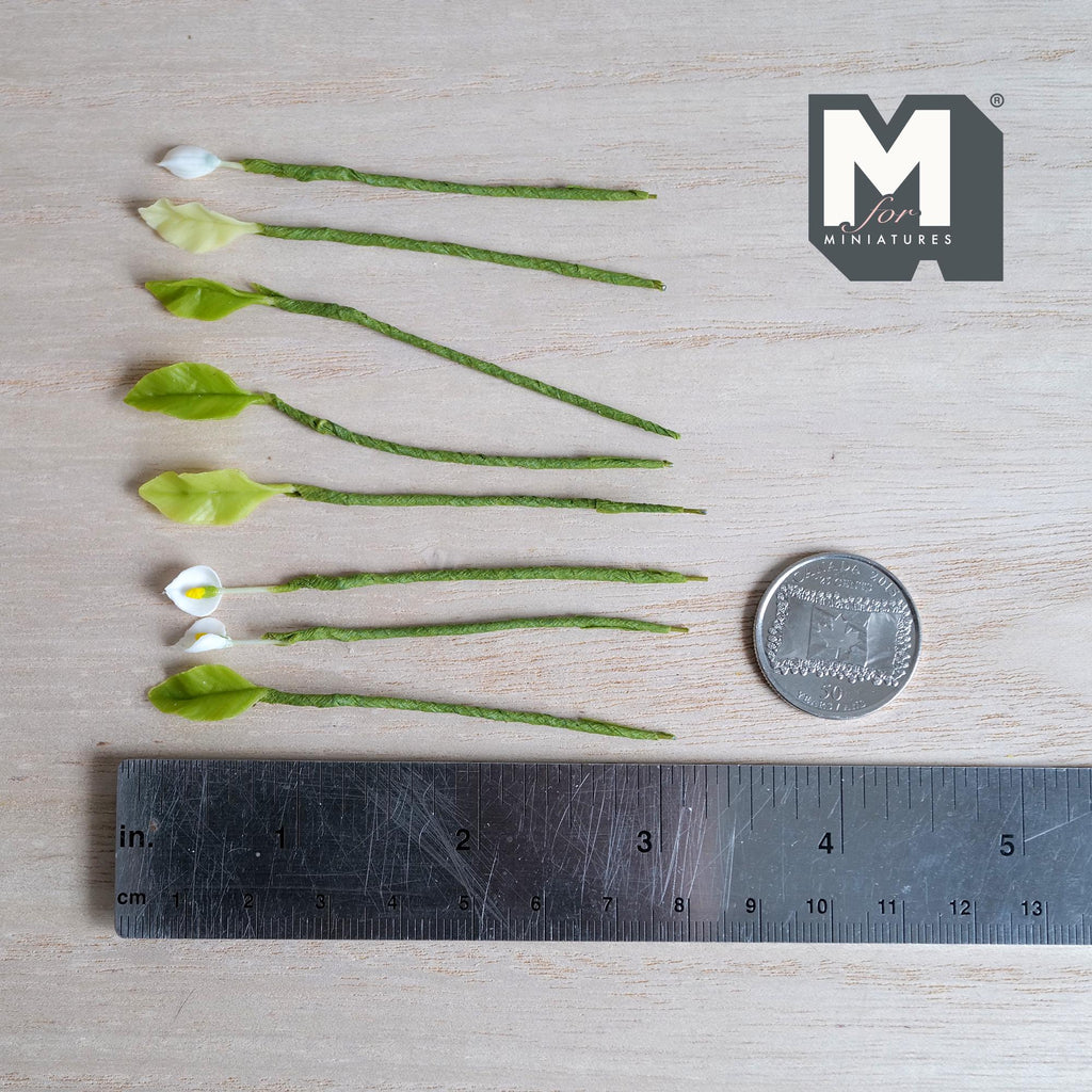 1:12 scale miniature white calla lily flower stems, two open with yellow centers and one bud, with lime green leaf stems
