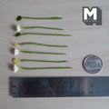 1:12 scale miniature white carnation flower stems with pale green buds and leaf stems on green wrapped stems