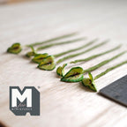 Tiges de plantes miniatures à feuilles panachées, échelle 1:12, lot de 7, jusqu'à 6,7 cm de long, fournitures pour maison de poupée à faire soi-même