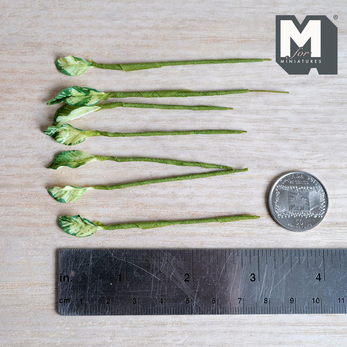 1:12 scale miniature marbled leaf plant stems, pointed pale cream green leaves with darker green marbling, on green wrapped stems
