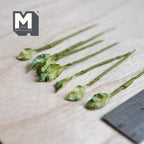 Tiges de plante à feuilles marbrées miniatures, échelle 1:12, lot de 7, jusqu'à 9 cm de long, fournitures pour maison de poupée à faire soi-même