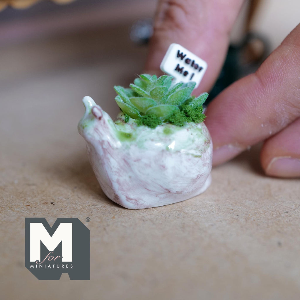 1:12 Scale Miniature Ceramic Snail Planter with Succulent and Water Me Sign, 7/8 inch tall, DIY Dollhouse Supply (white)