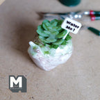 Jardinière escargot en céramique miniature à l'échelle 1/12 avec succulente et panneau « Water Me », 2,2 cm de haut, accessoire pour maison de poupée DIY (blanc)