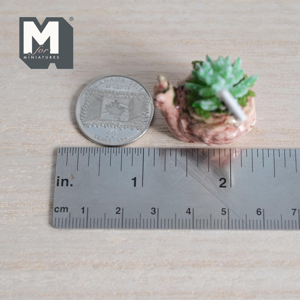 1:12 Scale Miniature Ceramic Snail Planter with Succulent and Water Me Sign, 7/8 inch tall, DIY Dollhouse Supply (orange)