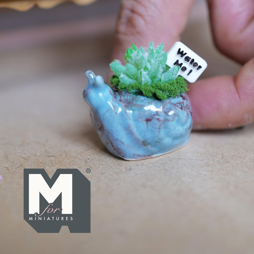 1:12 scale miniature blue ceramic snail planter with a succulent, green moss and a small Water Me sign, with a rustic weathered finish