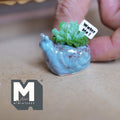 1:12 scale miniature blue ceramic snail planter with a succulent, green moss and a small Water Me sign, with a rustic weathered finish