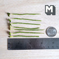 1:12 scale miniature heart shaped leaf plant stems in green and pale yellow green with dark edges and red and white speckles, on green wrapped stems