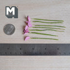 1:12 scale miniature bright pink heart shaped leaf plant stems with dark edges and red and white speckles, on green wrapped stems