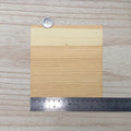 Miniature cedar wood veneer sheet with fine straight grain, a pale cream band along one edge shading into warm amber, 5-7/8 inch square