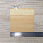 Miniature cedar wood veneer sheet with fine straight grain, a pale cream band along one edge shading into warm amber, 5-7/8 inch square