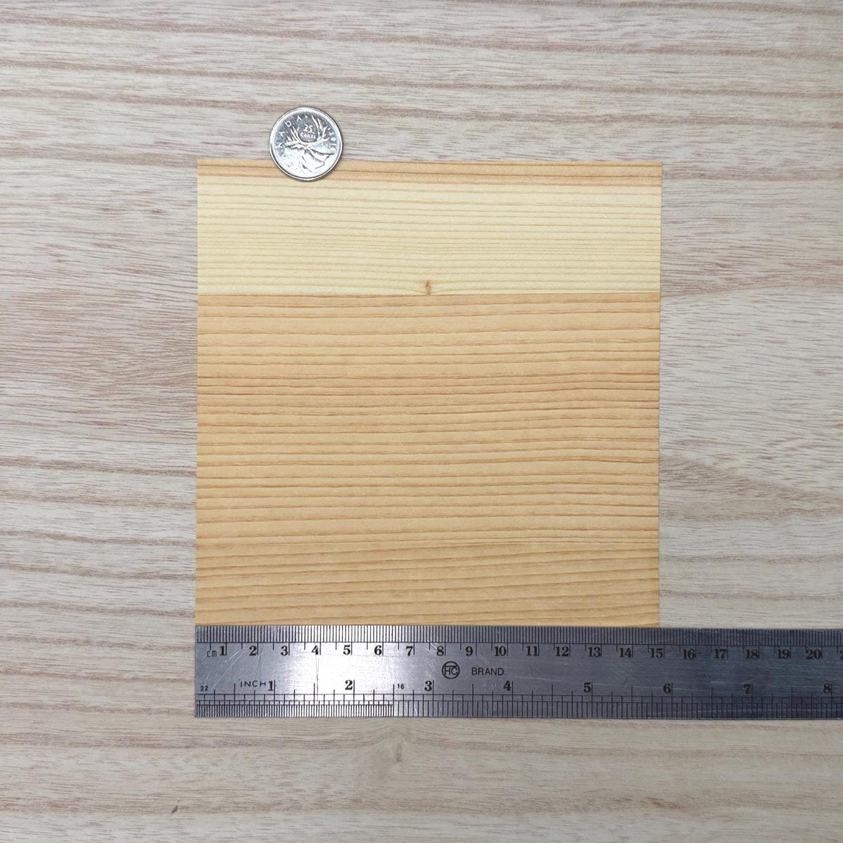 Miniature cedar wood veneer sheet with fine straight grain, a pale cream band along one edge shading into warm amber, 5-7/8 inch square