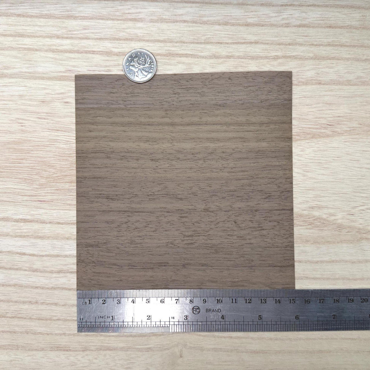 Miniature walnut wood veneer sheet in medium greyish brown with straight grain and fine darker pore lines, 5-7/8 inch square