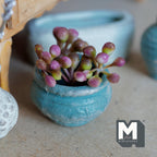 Miniatura a escala 1:12 de planta en maceta de barro, maceta redonda envejecida con capullos rosas, 1-1/4 inch de diámetro, decoración para casa de muñecas (turquesa)