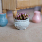 1:12 scale miniature clay potted plant, a weathered light green round pot holding pink and green flower buds, on a wood floor